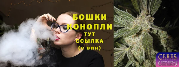 дмт Лабытнанги