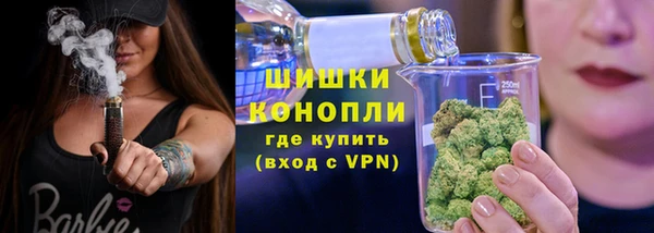 скорость Ладушкин