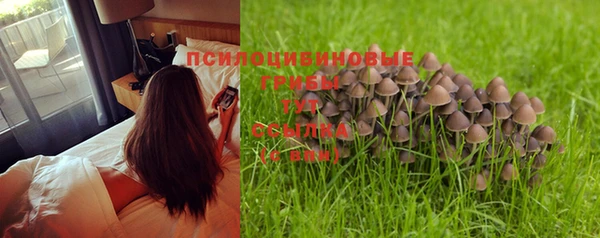 mdpv Краснослободск