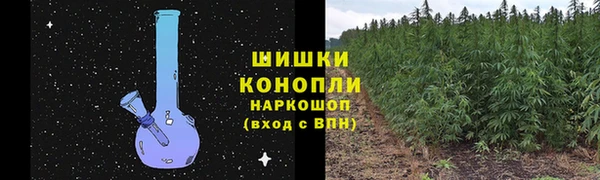 mdpv Краснослободск