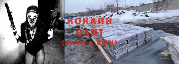 mdpv Краснослободск